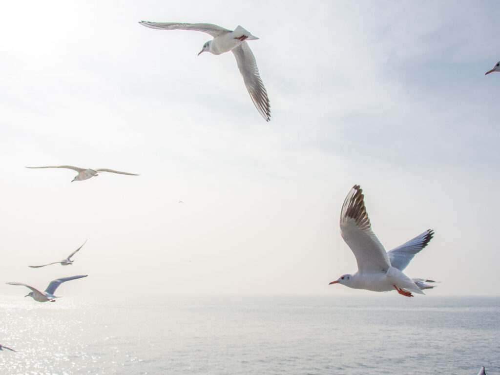 shutterstock_179148278