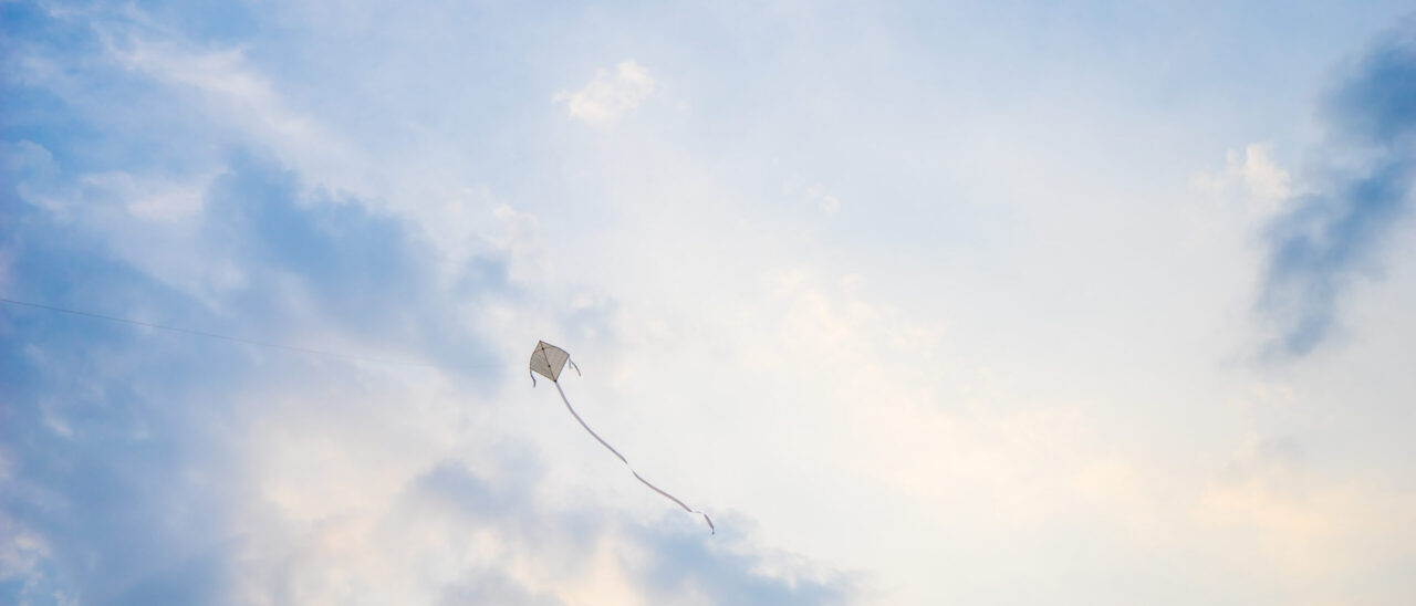 shutterstock_272004299